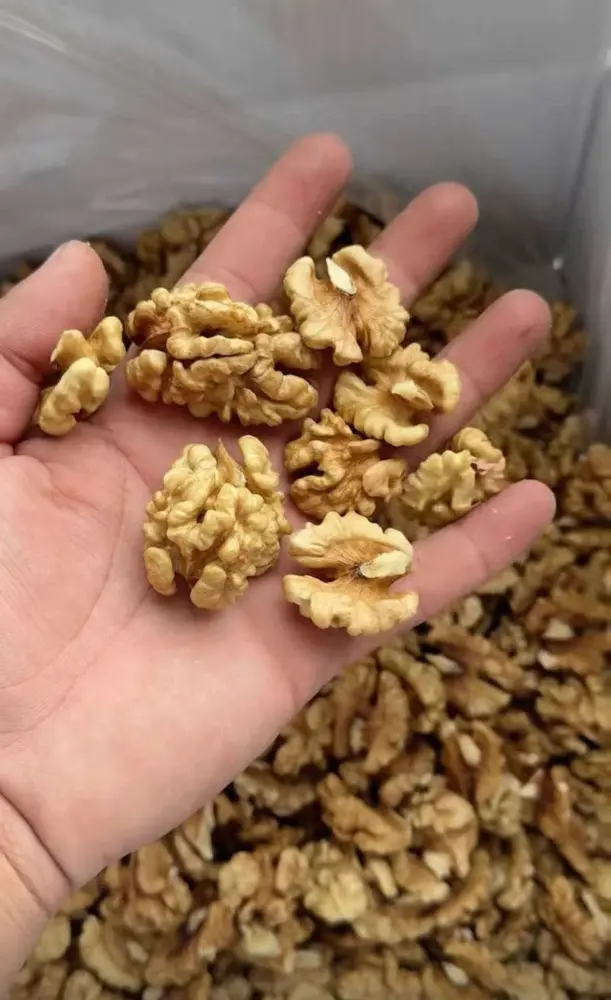 47e3739c-cec4-47b0-b005-acc1ddb52d37jpeg-okkkkkkkkkkkkkkkkkkkkkkkkkkkkk